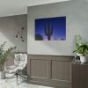 101875-759.jpg Saguaro Cactus Dominates in the Garden of the White Stallion Ranch Poster