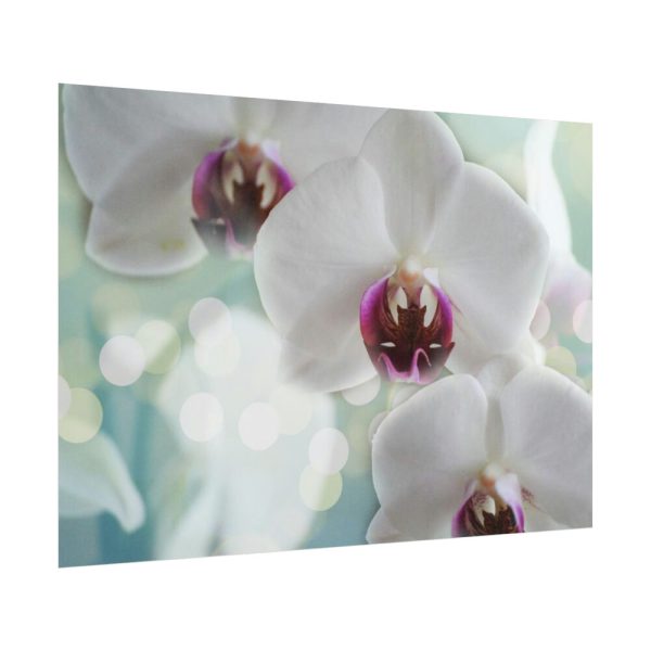 Flowering Plant Poster