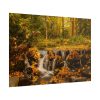 Waterfall Autumn Poster