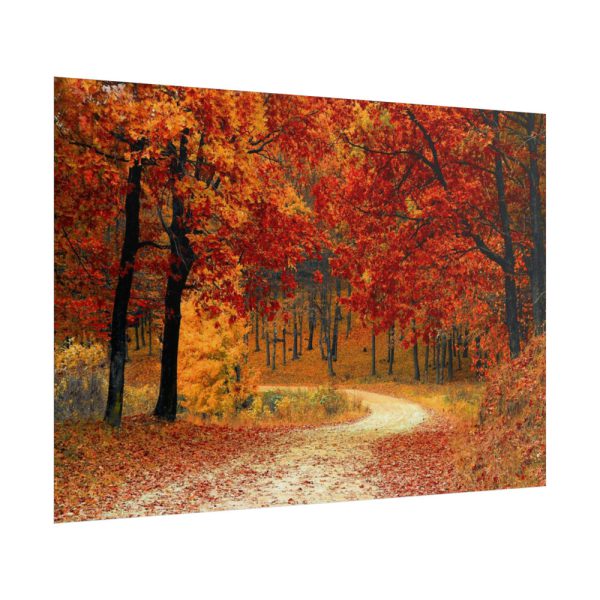Red Season in the Woods Poster
