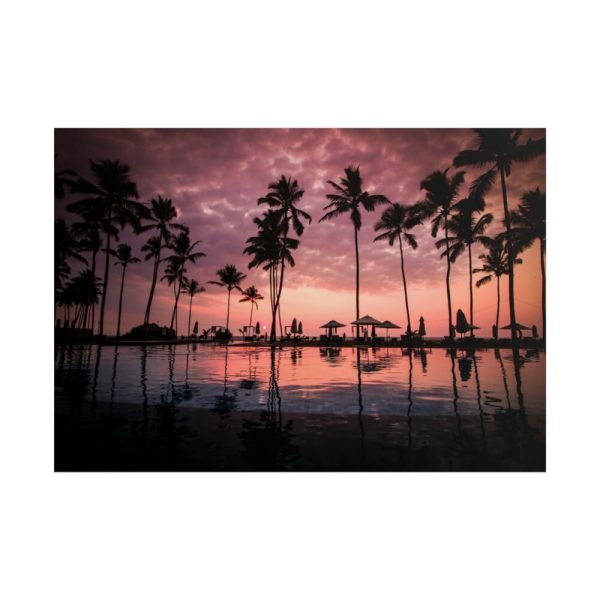 101875-795.jpg Water Palm in the Resort Poster