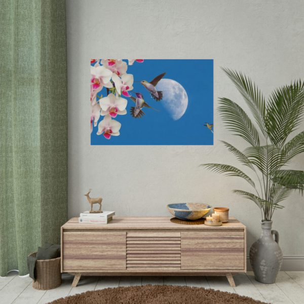 Humming Birds Poster