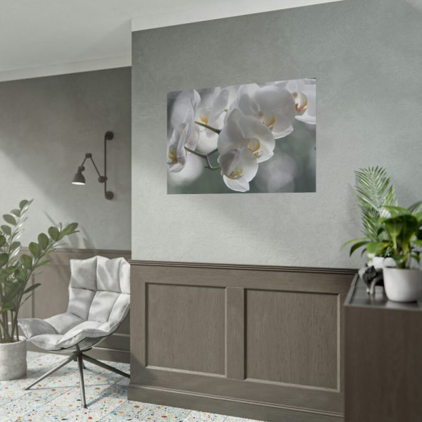 Orchids Elegant Poster