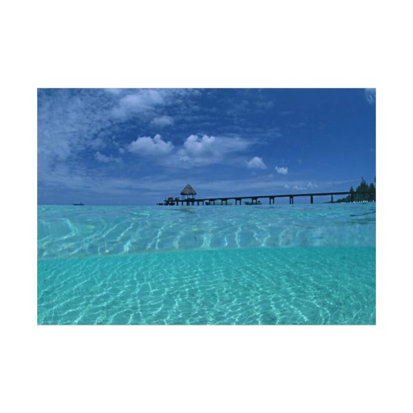 101875-898.jpg Beautiful Beach Landscape Poster