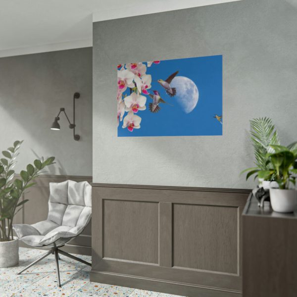 Humming Birds Poster