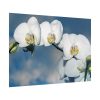 White Flower Poster