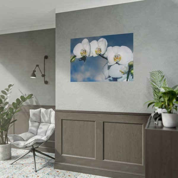 White Flower Poster