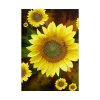 101894-103.jpg Spring Poster