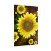 101894-105.jpg Spring Poster