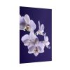 Blue Orchid  Poster