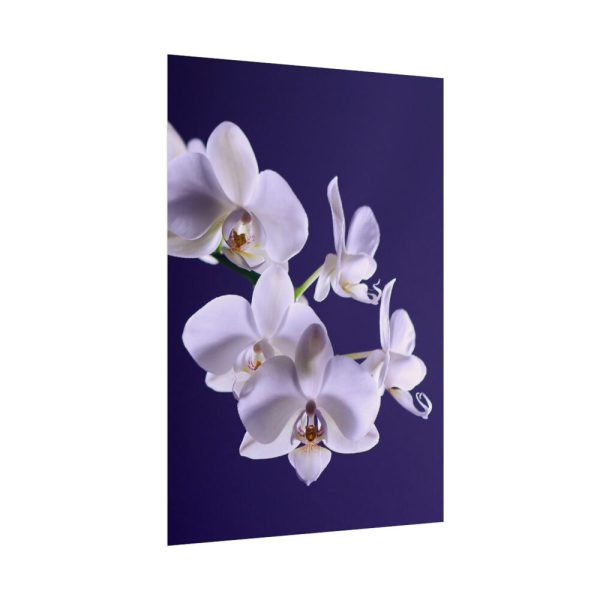 Blue Orchid  Poster