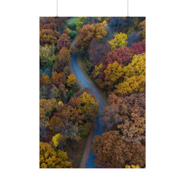 101894-124.jpg Forest in Autumn Colors Poster