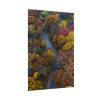 101894-125.jpg Forest in Autumn Colors Poster