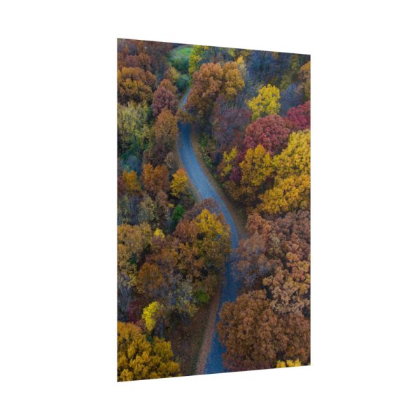 101894-125.jpg Forest in Autumn Colors Poster