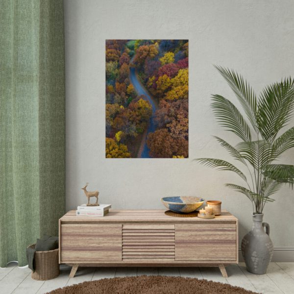 101894-126.jpg Forest in Autumn Colors Poster