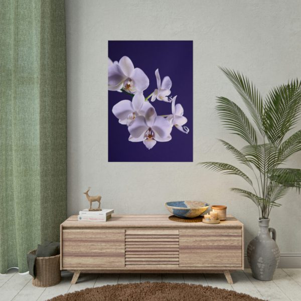 Blue Orchid  Poster