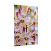 101894-17.jpg Boat Orchid Poster