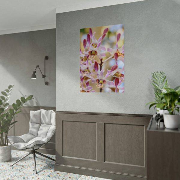 101894-19.jpg Boat Orchid Poster
