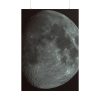 101894-199.jpg Full Moon Poster