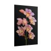 Pink Boat Orchid Poster