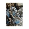 101894-21.jpg Blue Butterflies Poster