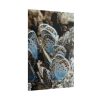 101894-22.jpg Blue Butterflies Poster