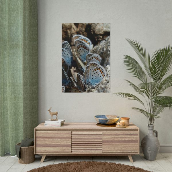 101894-23.jpg Blue Butterflies Poster