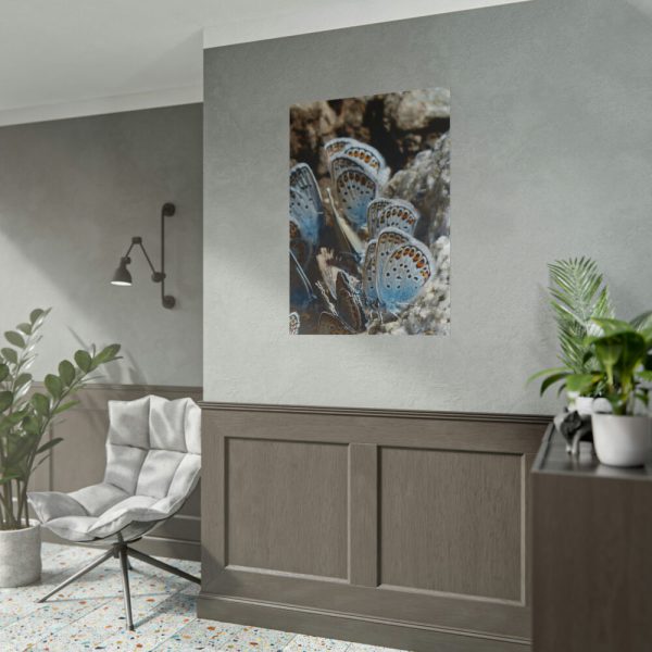 101894-24.jpg Blue Butterflies Poster
