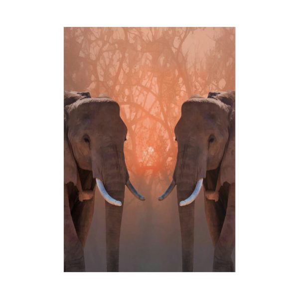 101894-35.jpg Two Elephants in the Zoo Poster