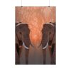 101894-36.jpg Two Elephants in the Zoo Poster