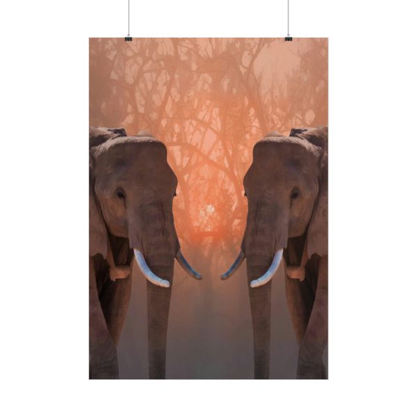 101894-36.jpg Two Elephants in the Zoo Poster