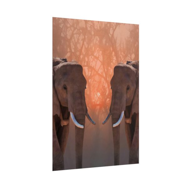 101894-37.jpg Two Elephants in the Zoo Poster
