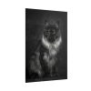 Black Silver Maine Coon Cat Sitting Poster