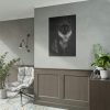 Black Silver Maine Coon Cat Sitting Poster