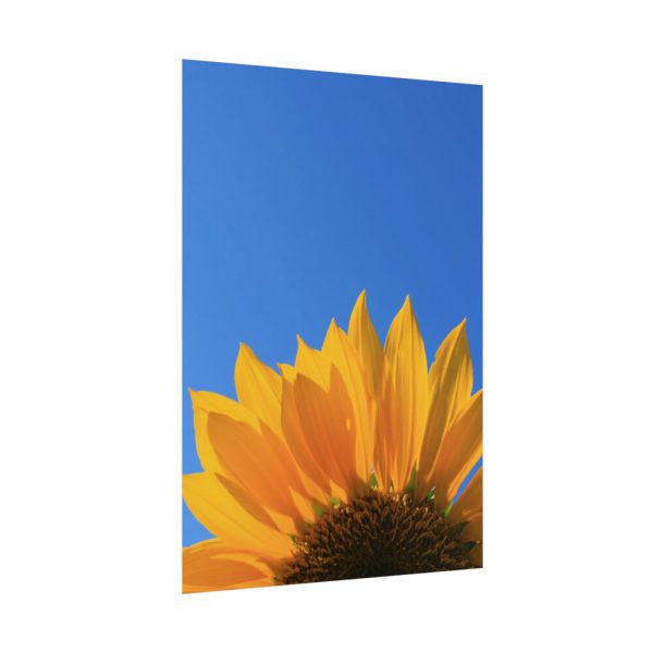 101894-55.jpg Sunflower Blue Sky Poster