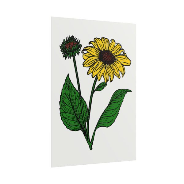 101894-65.jpg Sunflower Illustration Poster