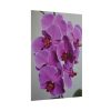 Exotic Orchid   Poster