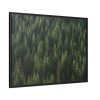 88288-5.jpg Forest on Mount Saint Helens Framed Canvas