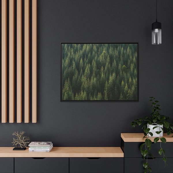 88288-9.jpg Forest on Mount Saint Helens Framed Canvas