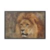 Beautiful Lion's Head Framed Canvas