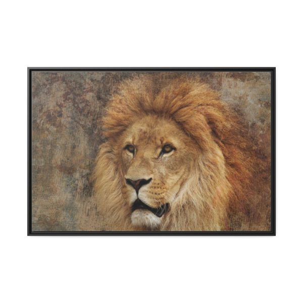 Beautiful Lion's Head Framed Canvas