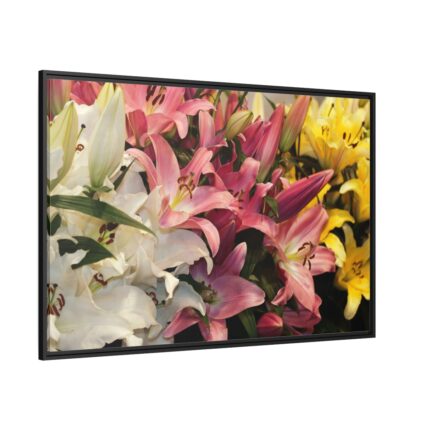 Lilies Flower  Framed Canvas