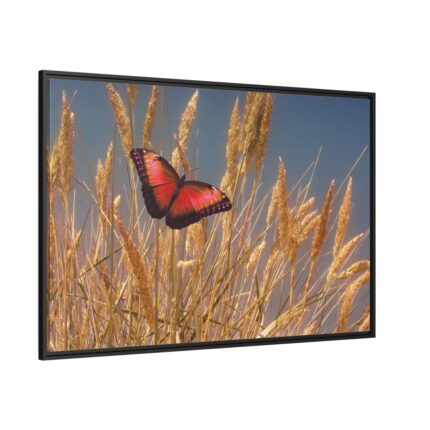 Grain Halme Cereals Butterfly Framed Canvas