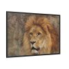 Beautiful Lion's Head Framed Canvas