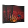 88289-105.jpg Butterfly on Nature Plant Grass Framed Canvas