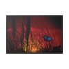 88289-106.jpg Butterfly on Nature Plant Grass Framed Canvas