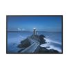 Lighthouse on the Rock Framed Canvas