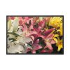 Lilies Flower  Framed Canvas