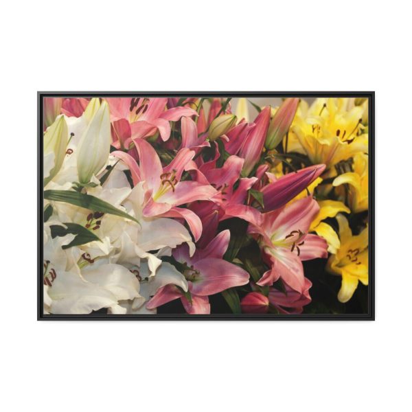 Lilies Flower  Framed Canvas