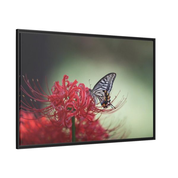 88289-115.jpg Butterfly on Red Flower Framed Canvas